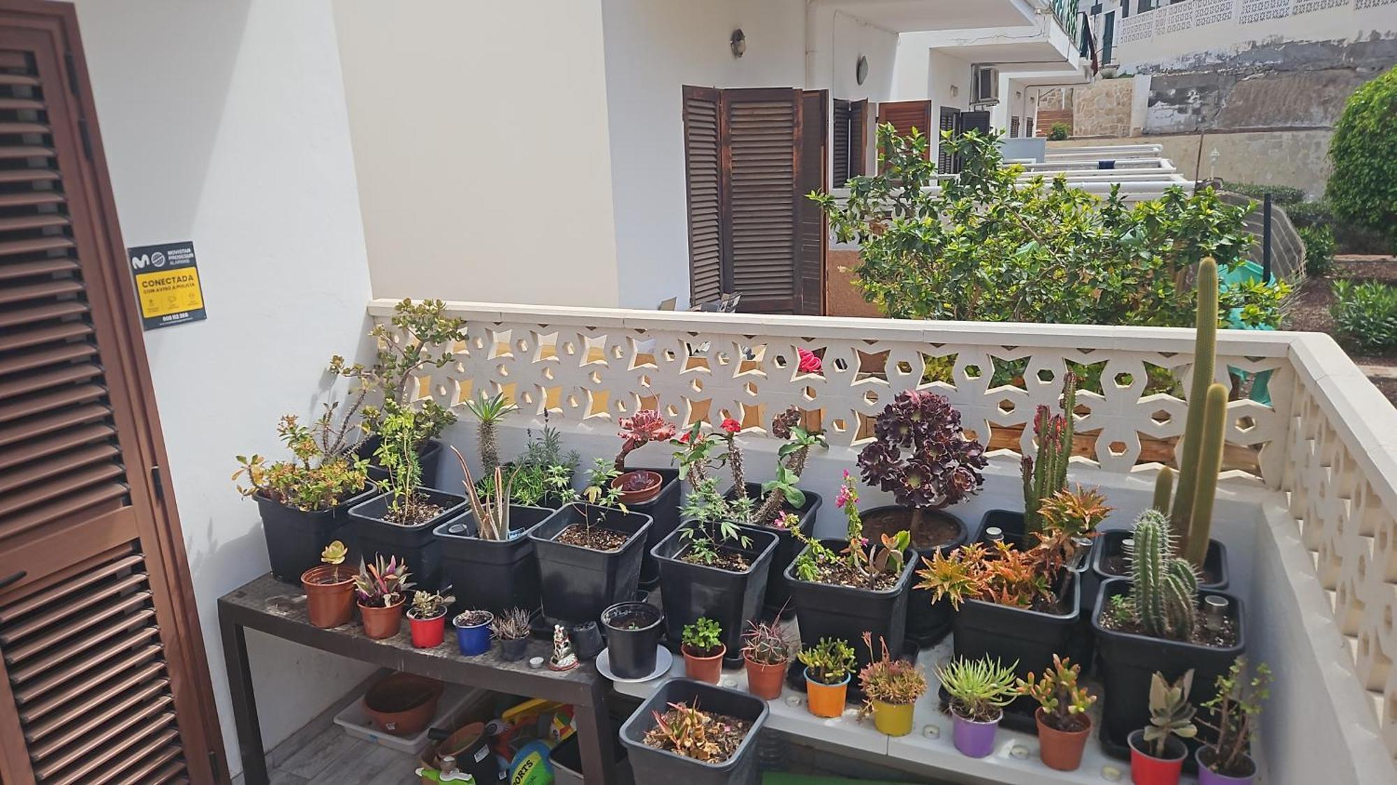 Renovated Villa In Las Americas Sea Coast Playa de las Americas  Ruang foto